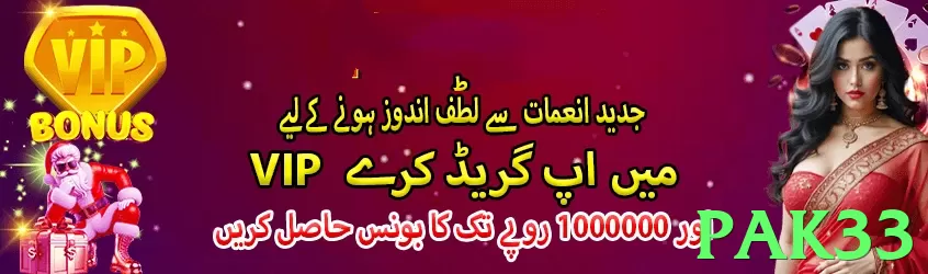 pak33 interface sample - 3